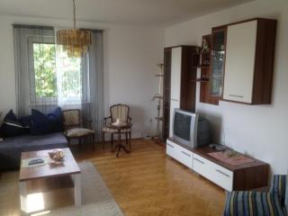 Spacious apartment near Linz, Wels & Marchtrenk - - 9