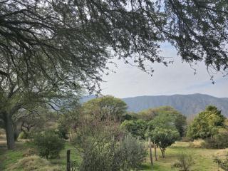 Pomancillo Ecolodge - - 7