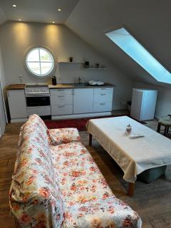 Mini lejlighed med køkken og adgang til badeværelse - 9