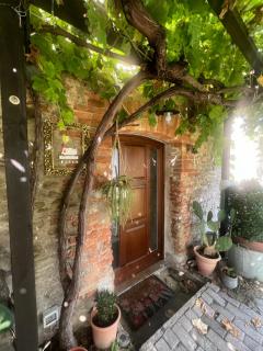Podere Canova d' Orlando "Alchemic House" - Predappio - 9