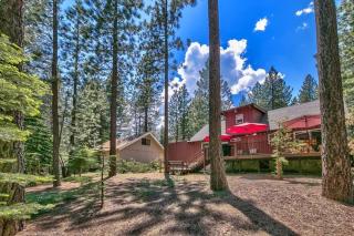 Tahoe Townie - Cozy Cabin in South Lake Tahoe! - South Lake Tahoe - 4