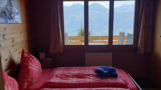 Chalet Hinkelstein in Beatenberg traumhafte Aussicht auf Eiger, Mönch & Jungfrau - Sundlauenen - 8