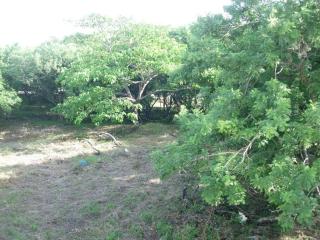 A5 PL Near the beach 1bed 1 office 1 bathroom - Tamarindo - 3