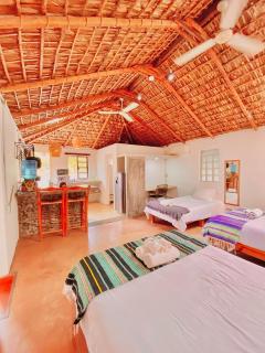 Hotel Perro Surfero Todos Santos - Todos los Santos - 5