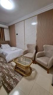 tulip - Cairo - 9