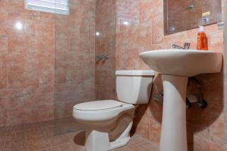 Casa Palmar - Finca - 1