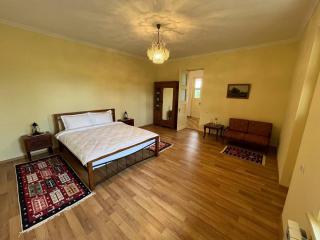 Kutaisi Countryside Guesthouse and Winery - Kutaisi - 4