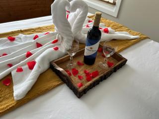 Luxe Central Suburban Retreat - Hampton - 7