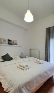 Minimalist Newly Renovated 1Bd near the center - Atene - 3