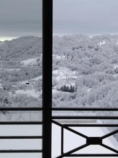 Milmari L29 - Kopaonik - 7