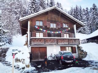 Studio l'Armailli - Les Paccots - 4