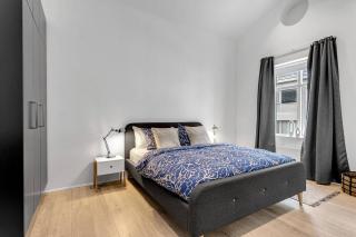 Luxury penthous - 3 BR - 2 Bath - FreeParking - Downtown - Reykjavik - 8