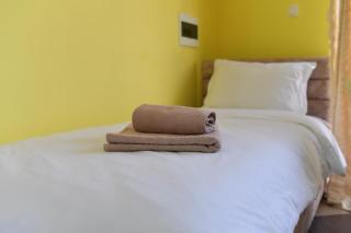 Apartmani Ad fines - Kuršumlija - 6