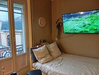 520 grand studio en hypercentre - 5