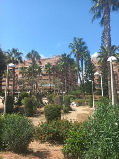 Marina dort Acapulco I primera línea de playa - Castellón de la Plana - 4