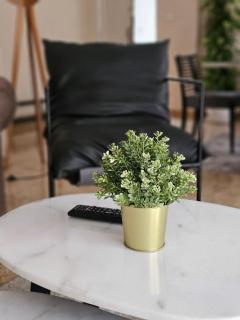 Central New Aprt in Maadi Degla - 8