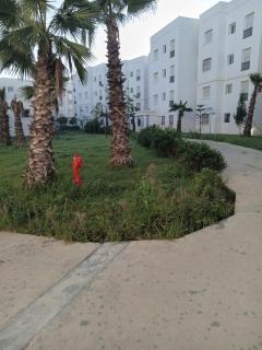 TANGIER ALIANCE the sea and the forest come together - Tangeri - 9