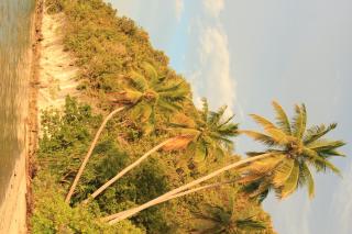 Intum Homestay - Kri - 5