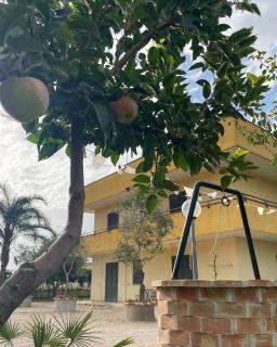Casa Vacanze Paradise - Santa Maria La Carità - 9