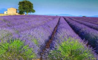 DURANCE - - 8
