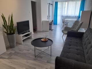 Apartament Superjednostka - Kattowitz - 9