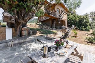 Cabane Dans les Arbres, Domaine de l Ogliastru - Olmeto - 6