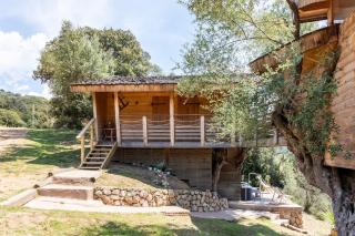 Cabane Dans les Arbres, Domaine de l Ogliastru - Olmeto - 5