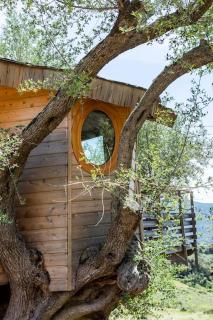 Cabane Dans les Arbres, Domaine de l Ogliastru - 9