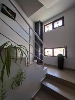 LA Vie - Opanets - 1