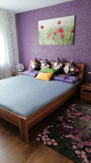 3 Rooms Apartment with Terrace & Beautiful View - Vöhrenbach - 9