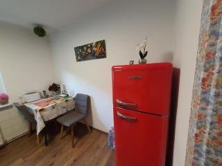 3 Rooms Apartment with Terrace & Beautiful View - Vöhrenbach - 4