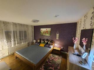 3 Rooms Apartment with Terrace & Beautiful View - Vöhrenbach - 0