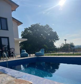 Villa Orlovo - Orlovo - 2