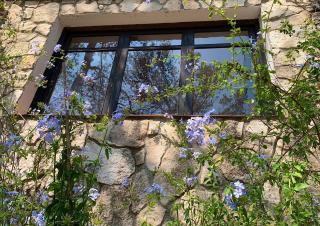 La Casita del Bosque - Sant Pere de Ribes - 7