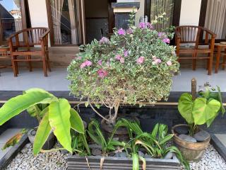 Jepun Inn - Padangbai - 4