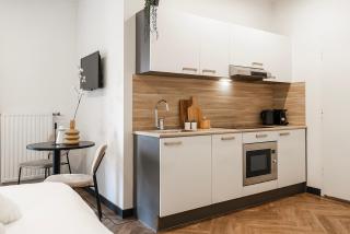 Studio With A Kitchen And Bathroom - Vilmos OLD - 5