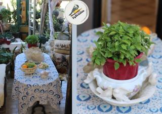 Popis Maison - Rodes - 1