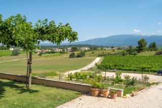 Les Terrasses de Cascavelle - Blauvac - 7