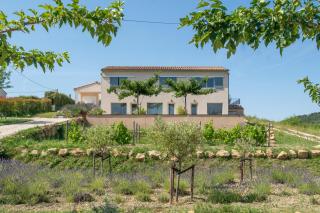 Les Terrasses de Cascavelle - Blauvac - 5