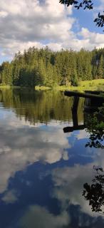 Rodinný Apartmán U Pralesa - 1