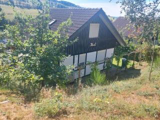Das Waldhaus - 4