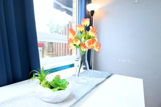2 BEDROOM FLAT NEXT TO ARSENAL STADIUM - HIGHBURY - London - 4