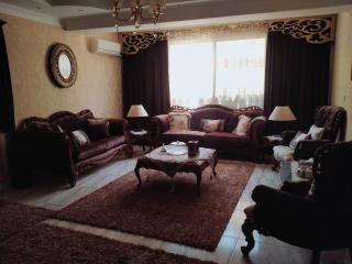 شقه مفروشه شيخ زايد - 0