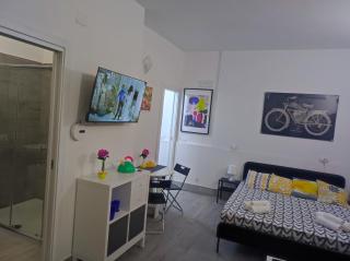 La reggia di Bobo casa Verdi 42 - 8