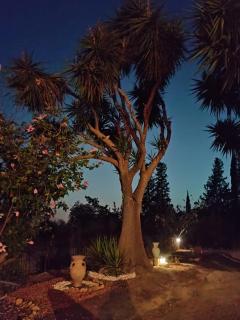 La Villa di Minerva - 7