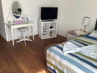 Chambre spacieuse et confortable avec écran plat - Oetwil an der Limmat - 9