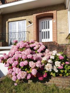 Charming house Panacea - Oostduinkerke - 9