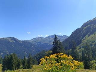 Alphüsli Garfrescha - 1