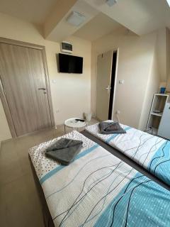 Studio nikola - Sokobanja - 0