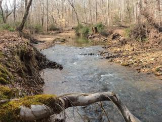 Creekside Cabin Hot Tub Near Wineries Sleeps 4 - Dahlonega - 8